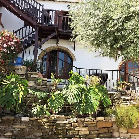 Cobblers فيلة Maroni