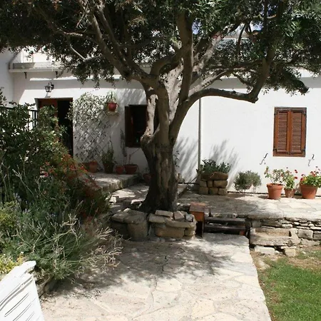 Cobblers فيلة Maroni