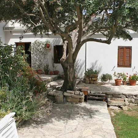 Cobblers فيلة Maroni