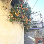 Cobblers فيلة